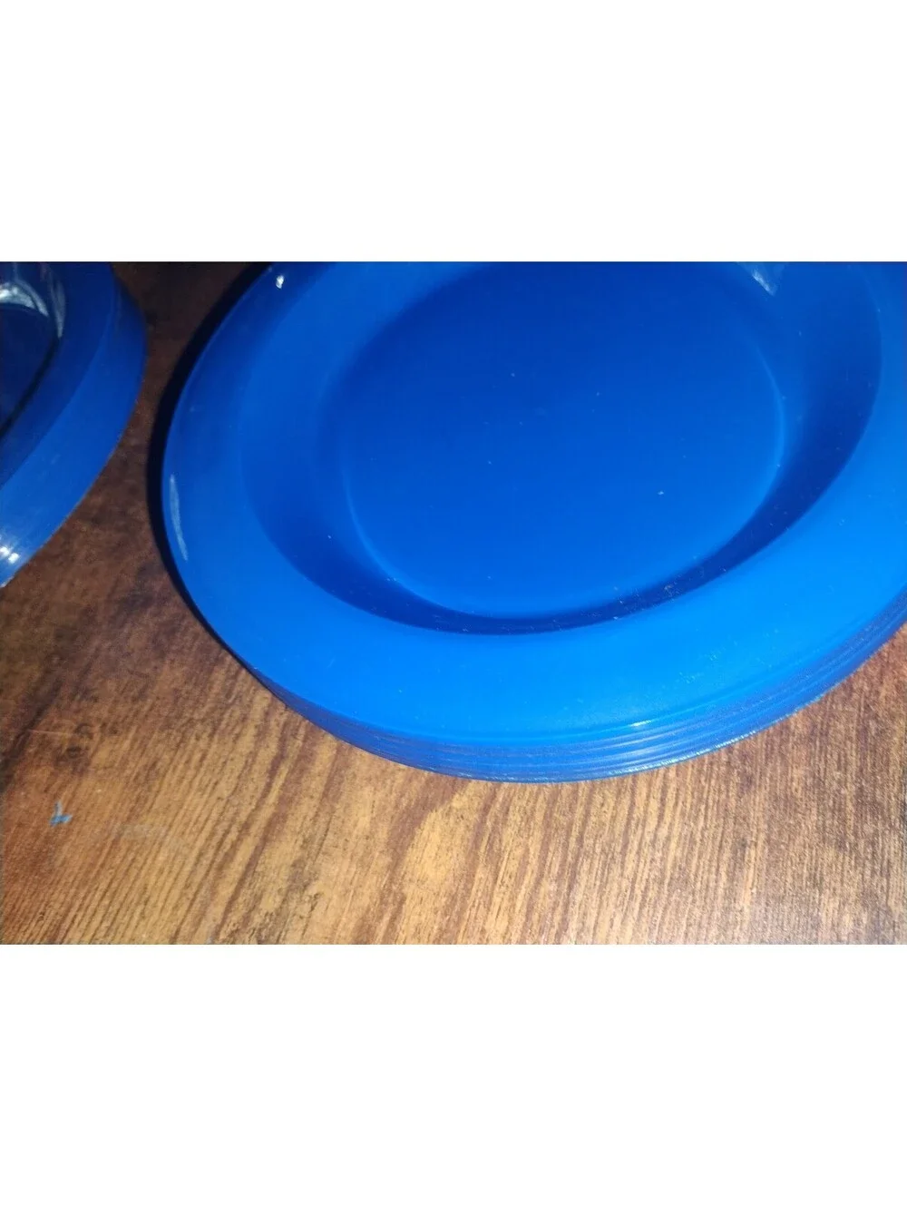 Vintage Blue Plastic Picnic Dinnerware Set with Carrying Case